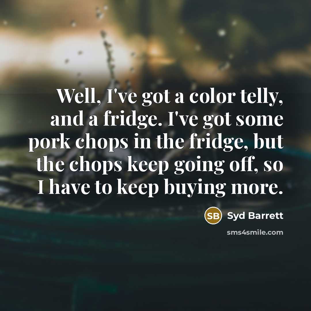 “Well, I've got a color telly, and a fridge. I've…” quote by Syd Barrett