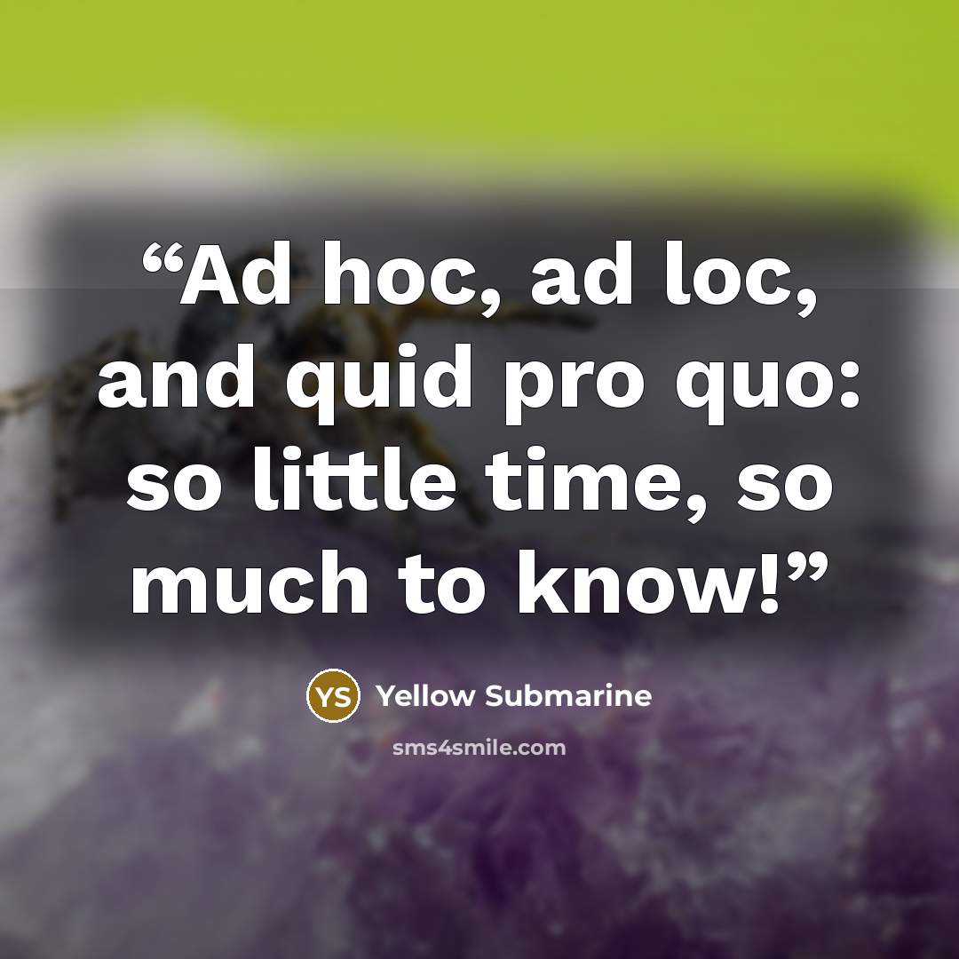 “Ad hoc, ad loc, and quid pro quo: so little time, so much to know!” quote by Yellow Submarine
