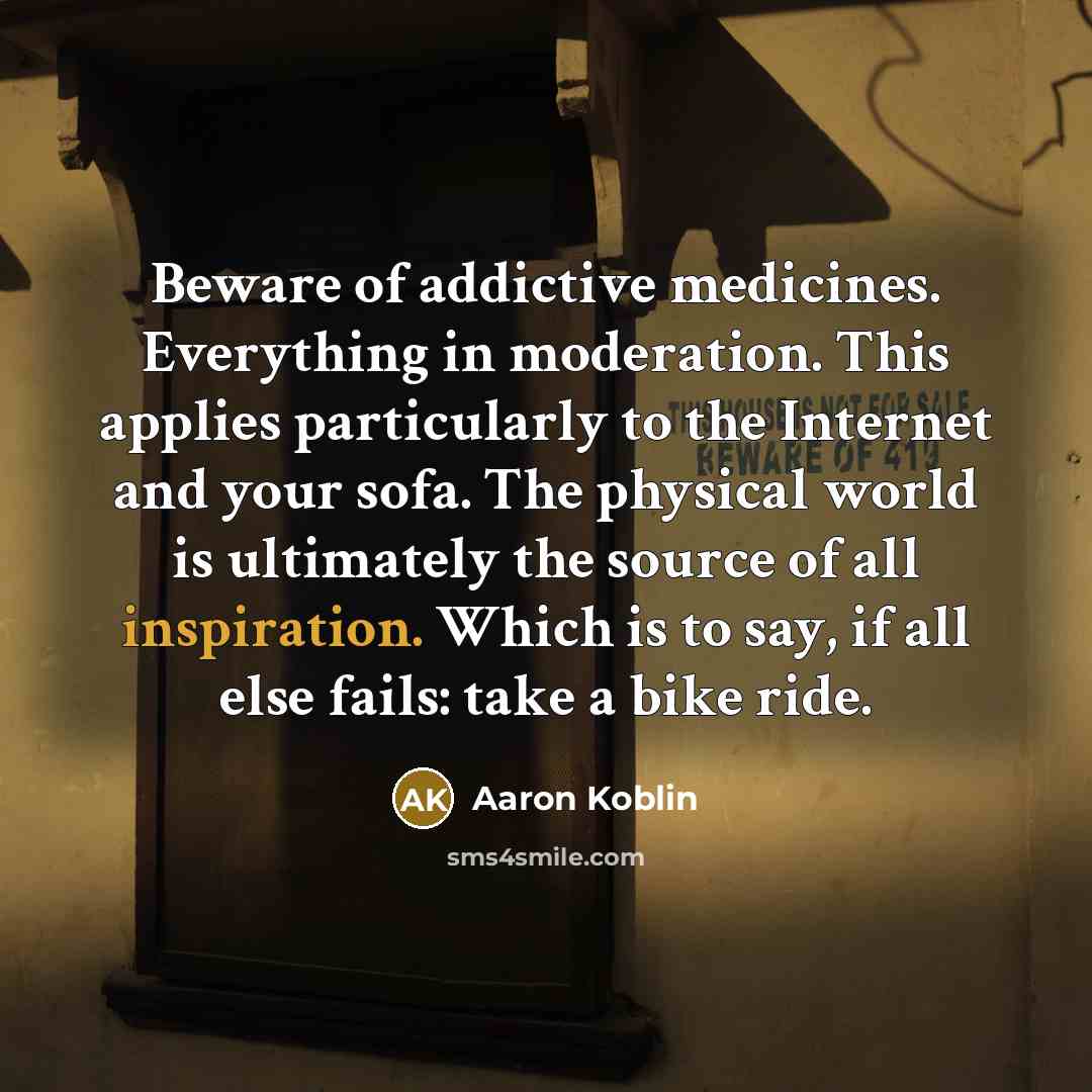 “Beware of addictive medicines. Everything in moderation. This applies particularly…” quote by Aaron Koblin