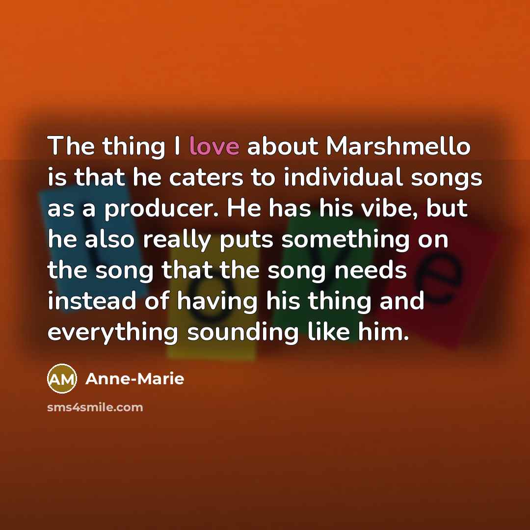“The thing I love about Marshmello is that he caters…” quote by Anne-Marie