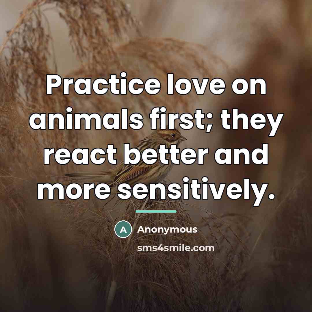 “Practice love on animals first; they react better and more…” quote by Anonymous
