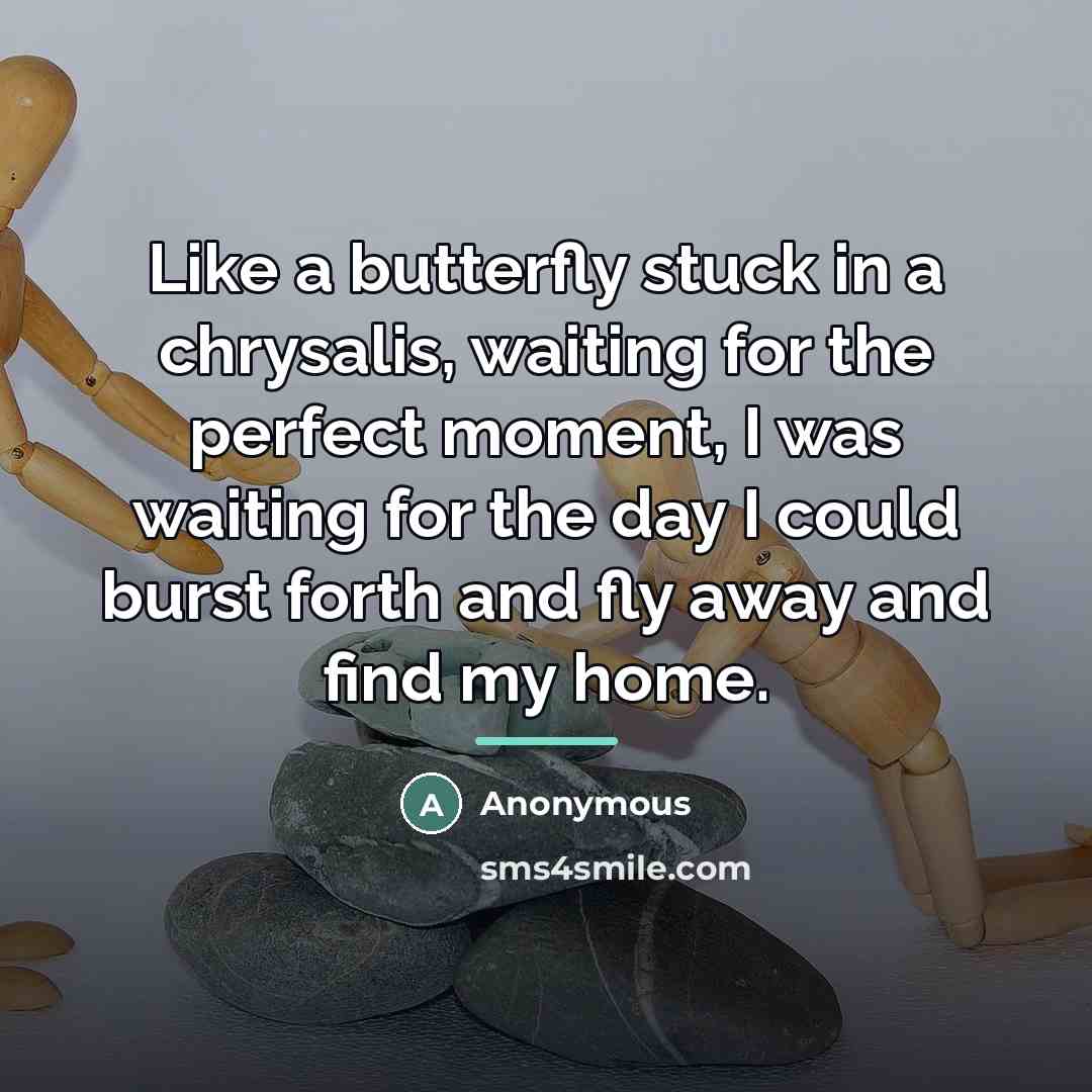 “Like a butterfly stuck in a chrysalis, waiting for the…” quote by Anonymous