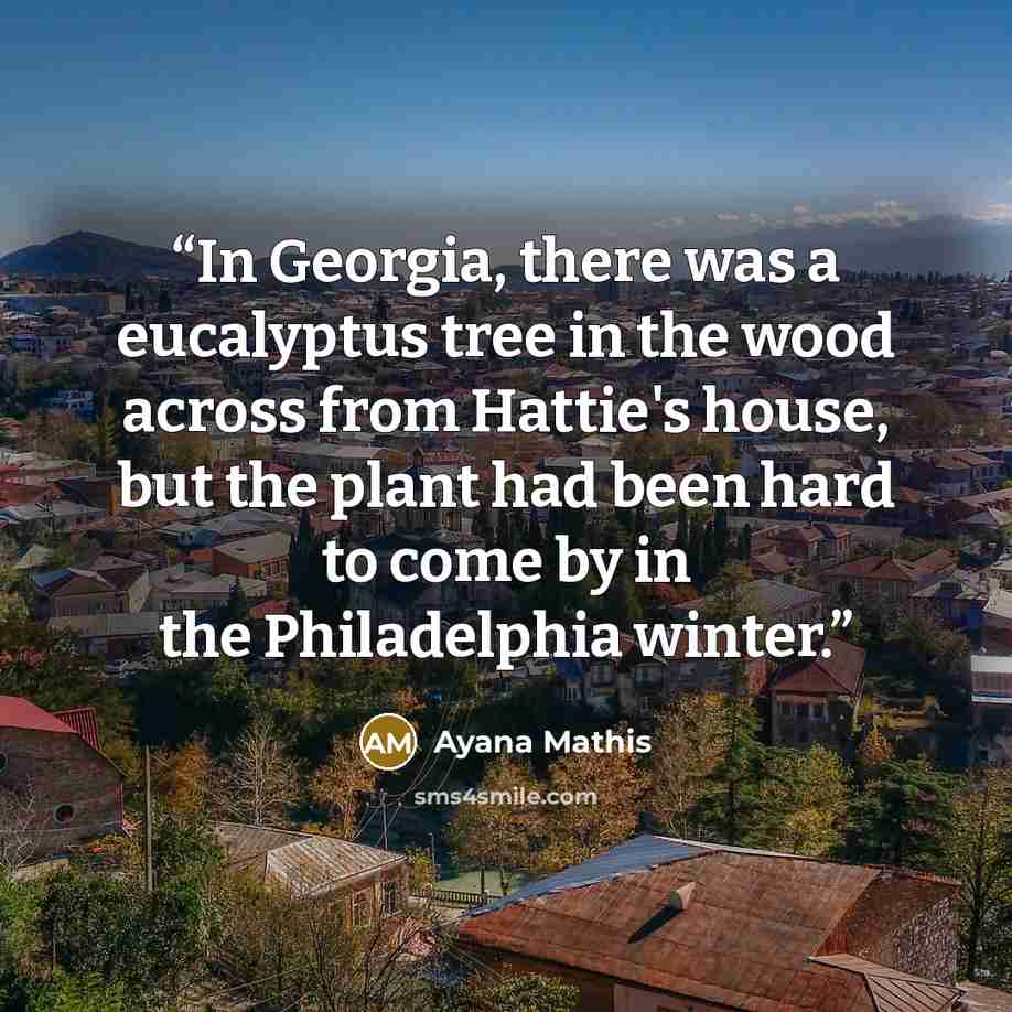 “In Georgia, there was a eucalyptus tree in the wood across from Hattie's house, but the plant had been hard to come by in the Philadelphia winter.” quote by Ayana Mathis