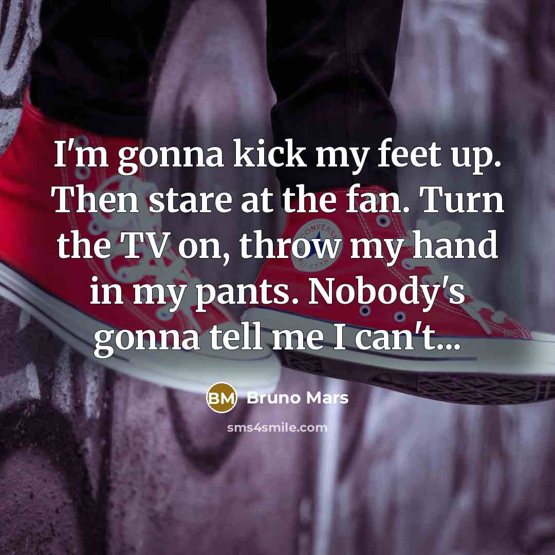 “I'm gonna kick my feet up. Then stare at the fan. Turn the TV on, throw my hand in my pants. Nobody's gonna tell me I can't...” quote by Bruno Mars