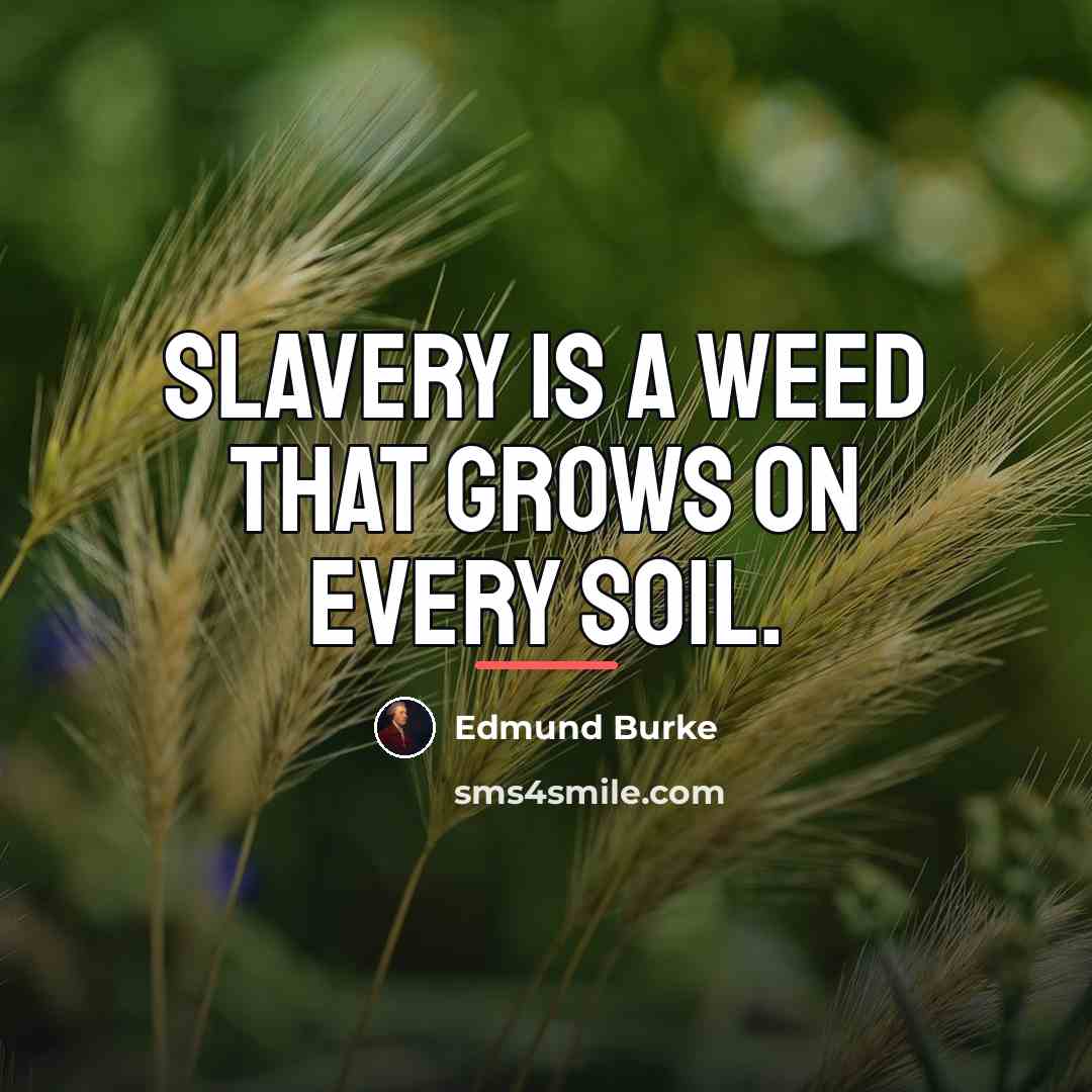 “Slavery is a weed that grows on every soil.…” quote by Edmund Burke