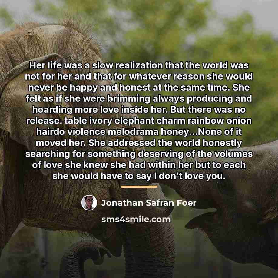 “Her life was a slow realization that the world was…” quote by Jonathan Safran Foer