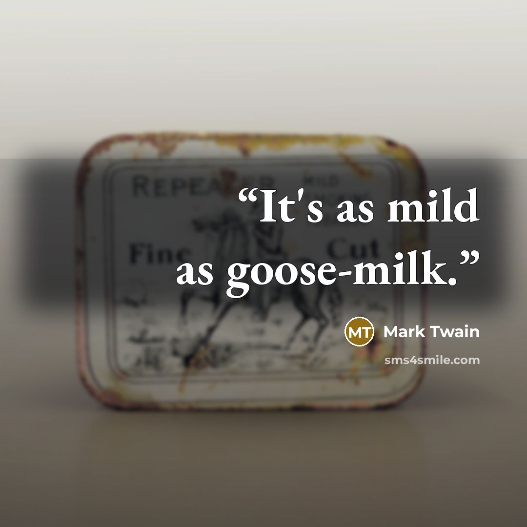 “It's as mild as goose-milk.” quote by Mark Twain