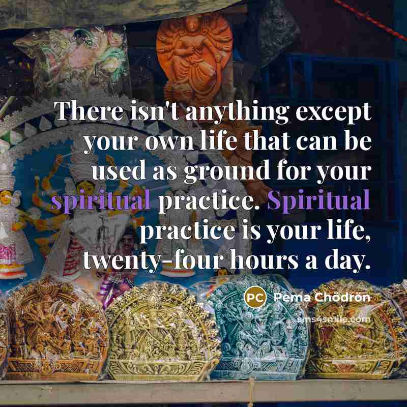 “There isn't anything except your own life that can be…” quote by Pema Chodron