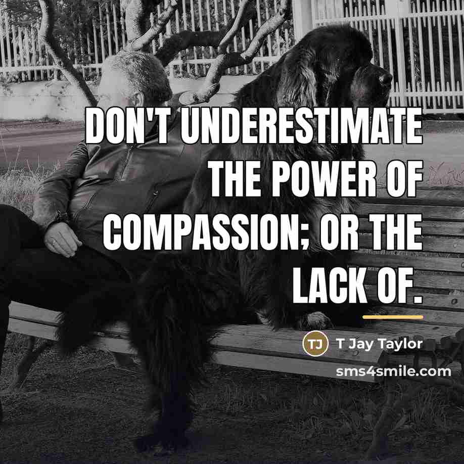 “Don't underestimate the power of compassion; or the lack of.…” quote by T Jay Taylor