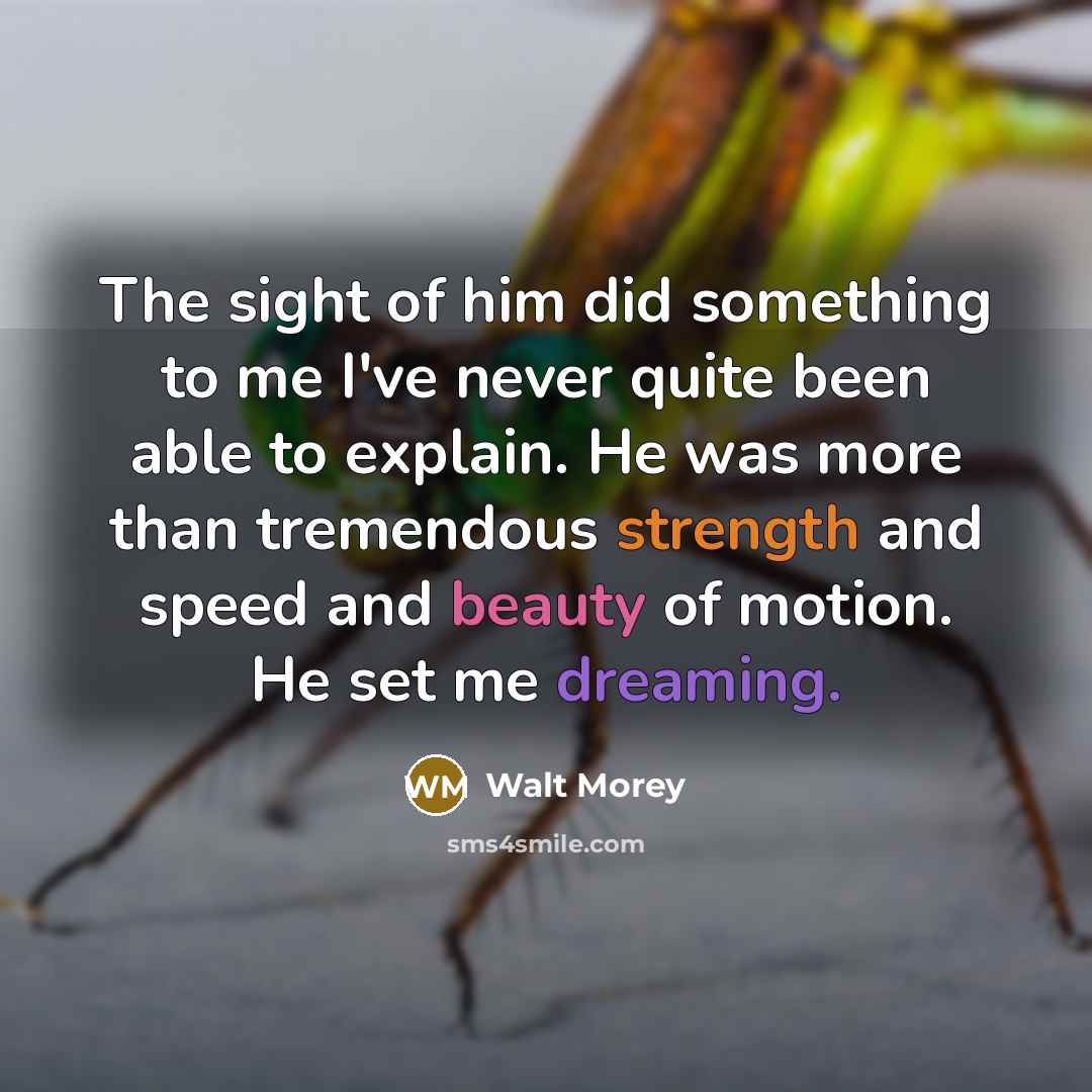 “The sight of him did something to me I've never…” quote by Walt Morey