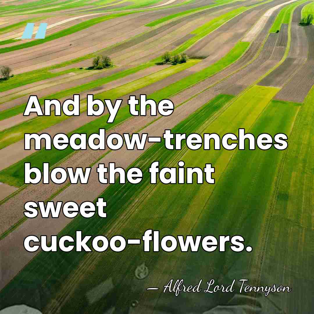 And by the meadow-trenches blow the faint sweet cuckoo-flowers. - Alfred Lord Tennyson