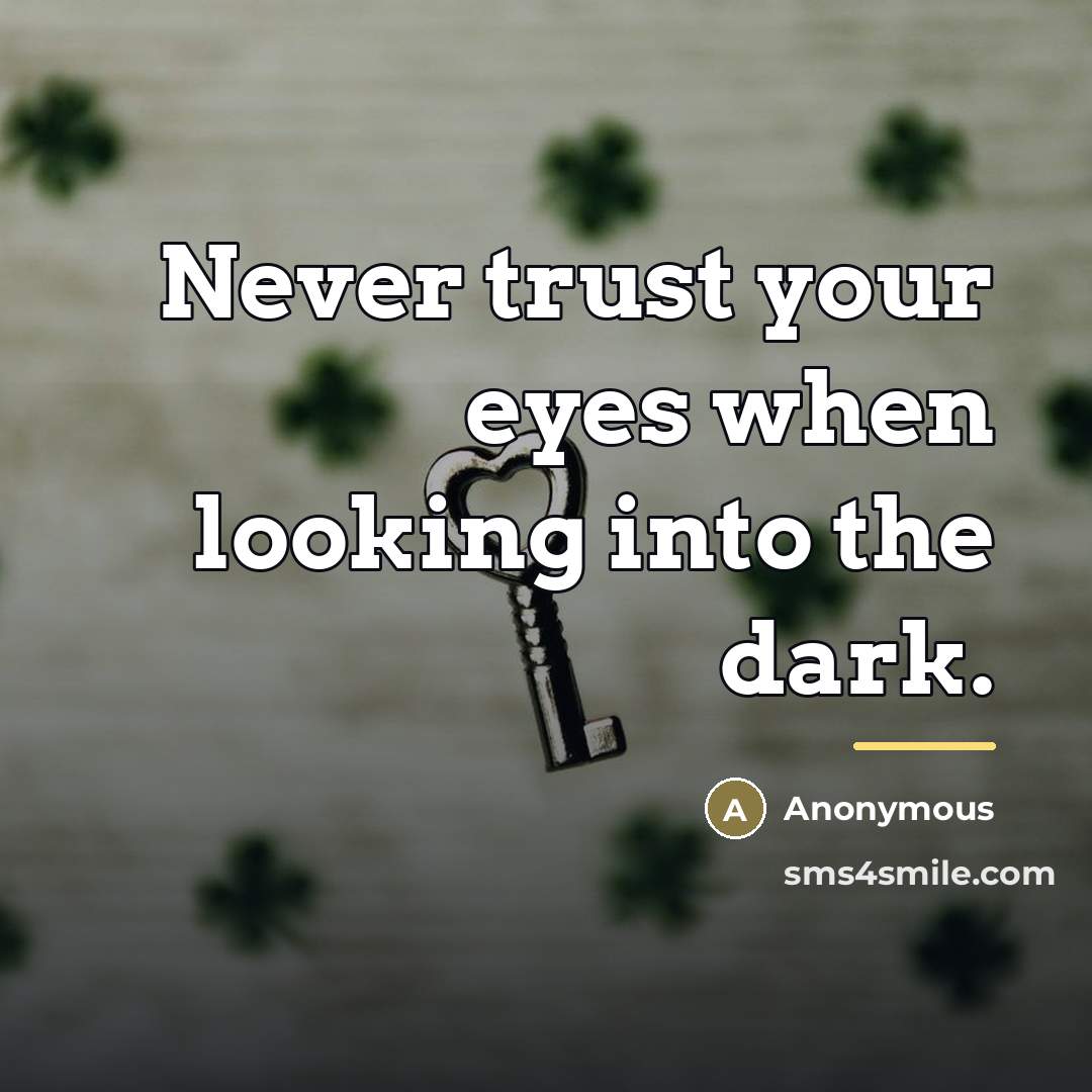 “Never trust your eyes when looking into the dark.…” quote by Anonymous