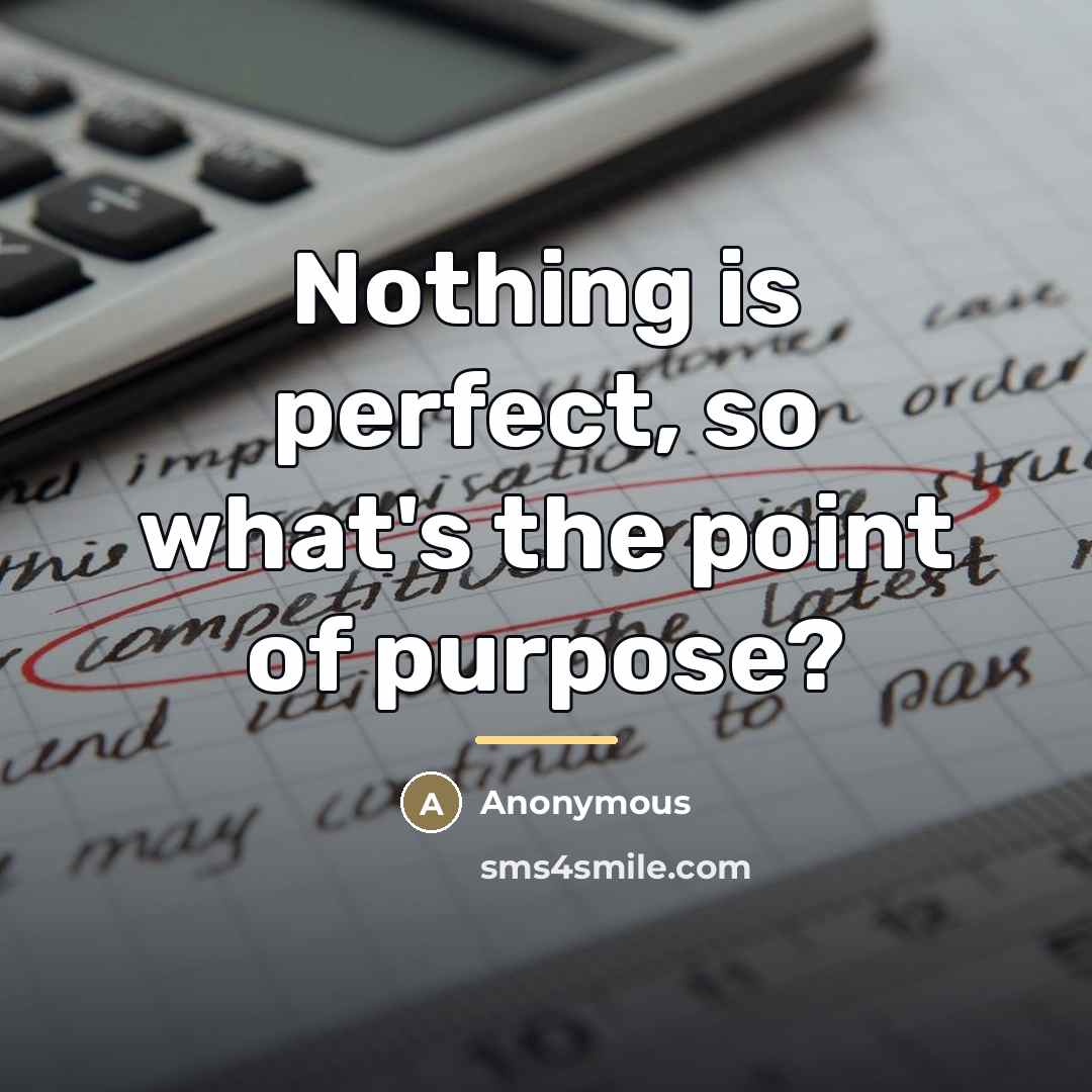 “Nothing is perfect, so what's the point of purpose?…” quote by Anonymous