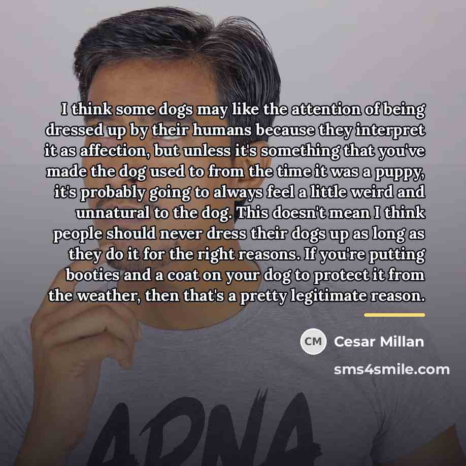 “I think some dogs may like the attention of being…” quote by Cesar Millan