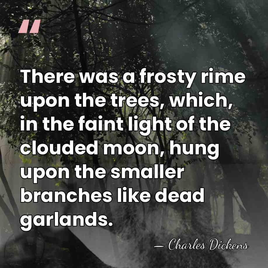 There was a frosty rime upon the trees, which, in the faint&hellip; - Charles Dickens