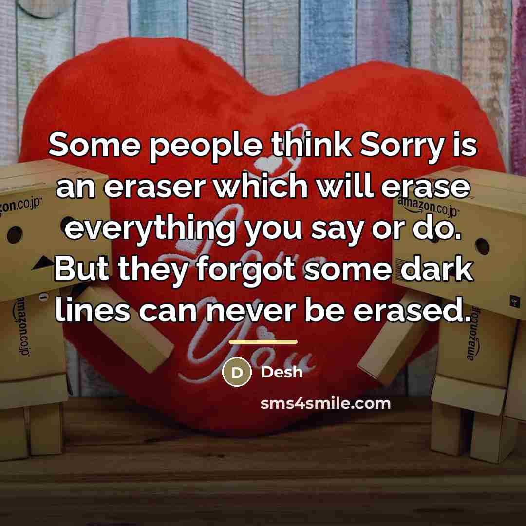 “Some people think Sorry is an eraser which will erase…” quote by Desh