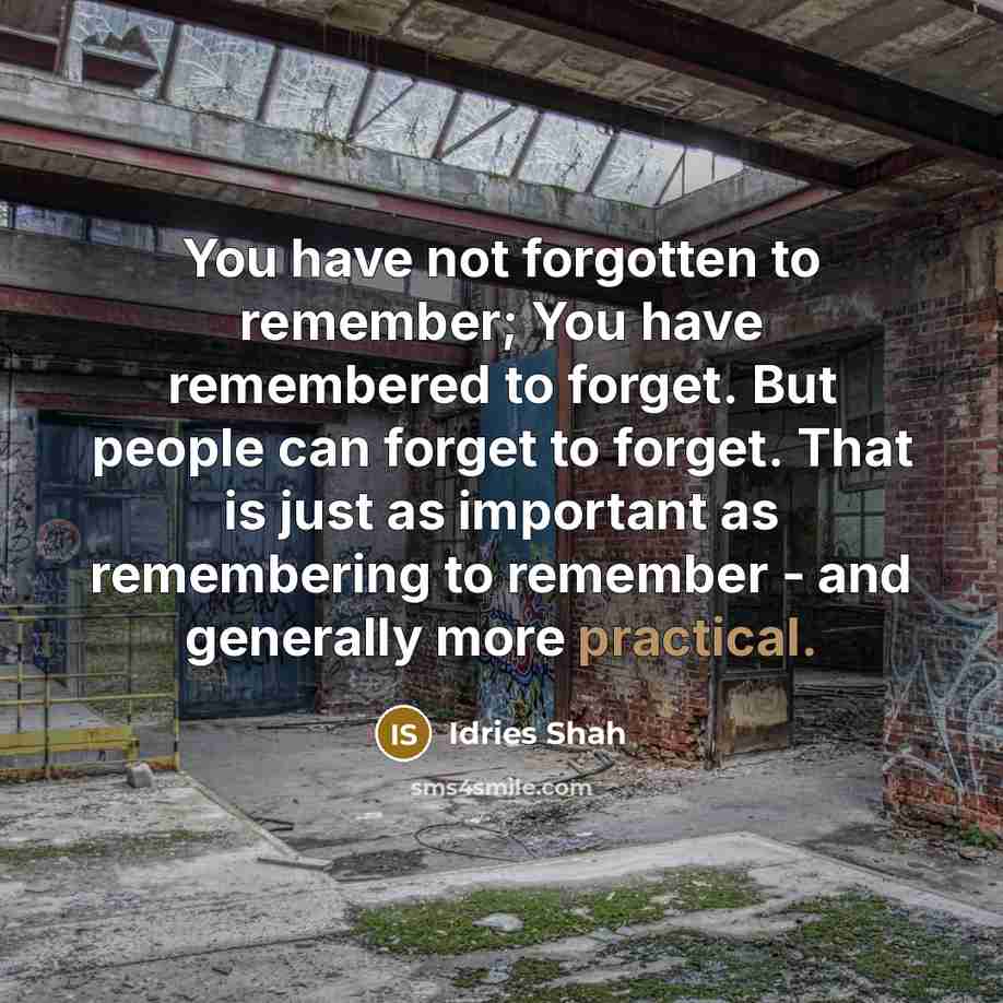 “You have not forgotten to remember; You have remembered to…” quote by Idries Shah
