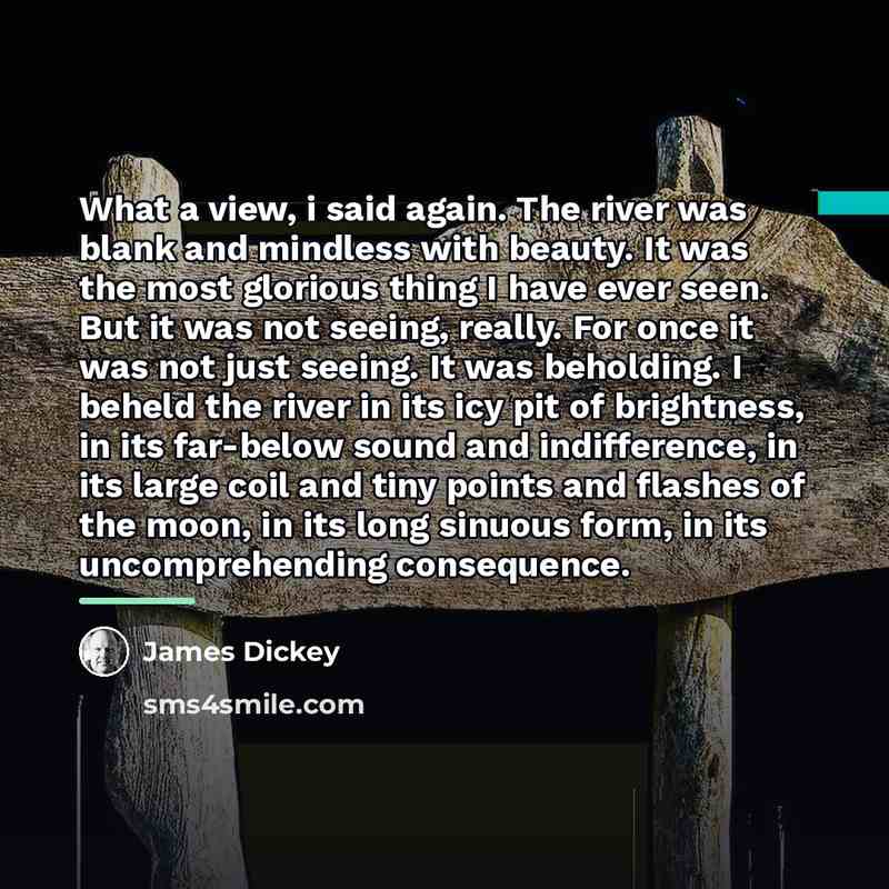 “What a view, i said again. The river was blank…” quote by James Dickey
