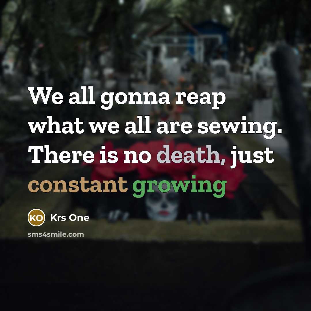 “We all gonna reap what we all are sewing. There…” quote by Krs One