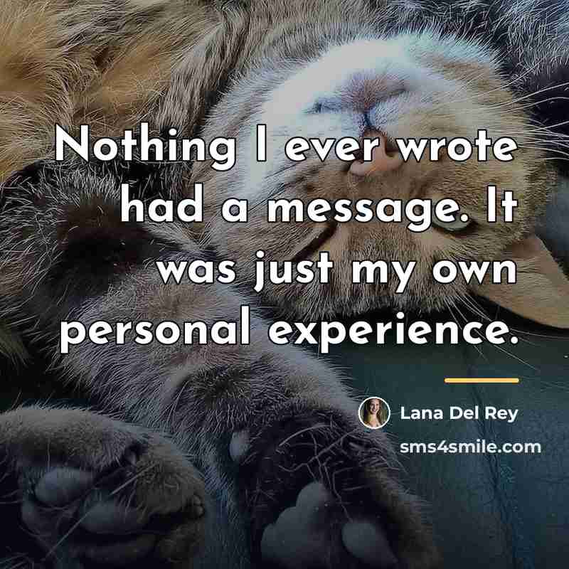 “Nothing I ever wrote had a message. It was just…” quote by Lana Del Rey