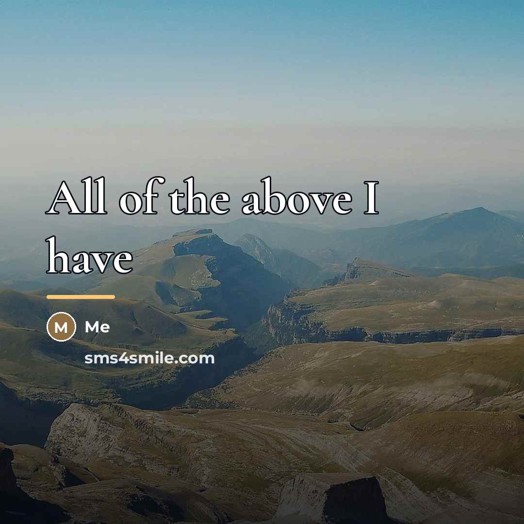 “All of the above I have…” quote by Me