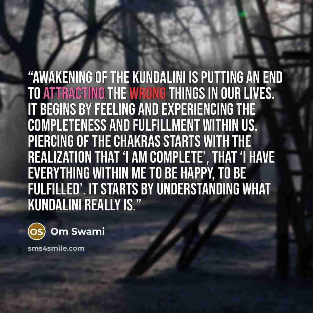“Awakening of the kundalini is putting an end to attracting the wrong things in our lives. It begins by feeling and experiencing the completeness and fulfillment within us. Piercing of the chakras starts with the realization that ‘I am complete’, that ‘I have everything within me to be happy, to be…” quote by Om Swami