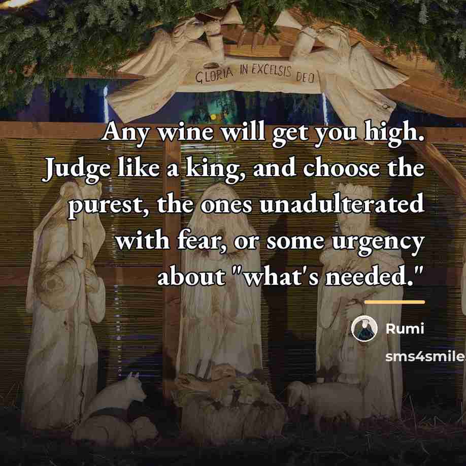 “Any wine will get you high. Judge like a king,…” quote by Rumi