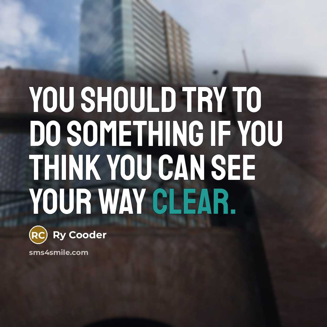 “You should try to do something if you think you…” quote by Ry Cooder