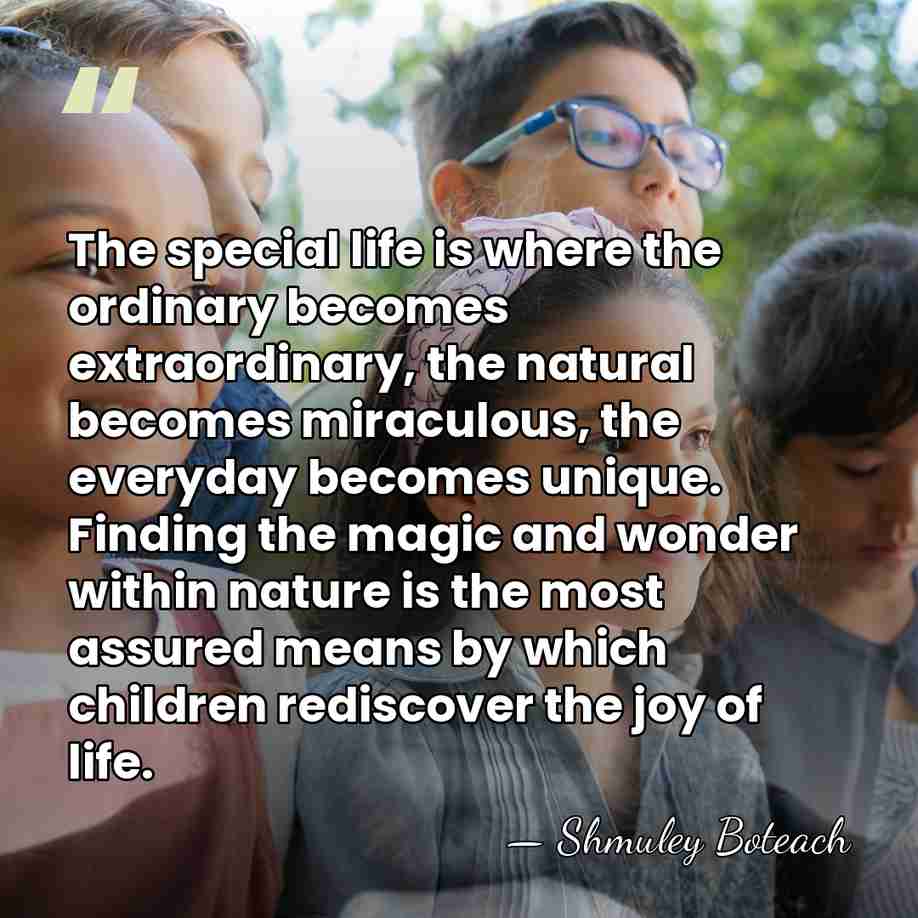 The special life is where the ordinary becomes extraordinary, the natural becomes&hellip; - Shmuley Boteach