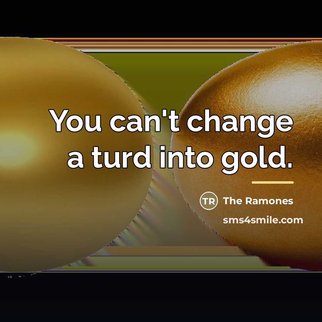 “You can't change a turd into gold.…” quote by The Ramones