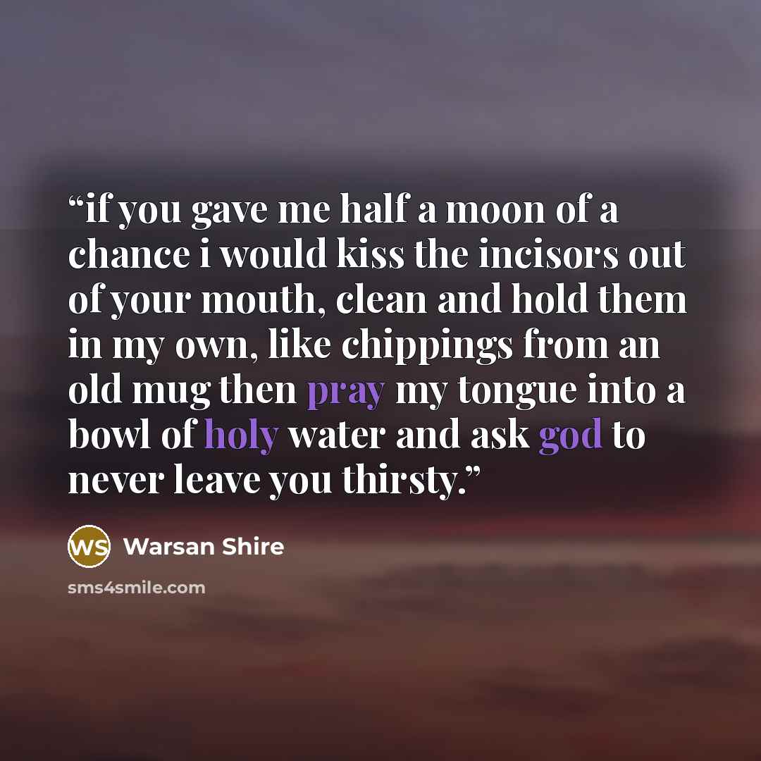 “if you gave me half a moon of a chance i would kiss the incisors out of your mouth, clean and hold them in my own, like chippings from an old mug then pray my tongue into a bowl of holy water and ask god to never leave you thirsty.” quote by Warsan Shire