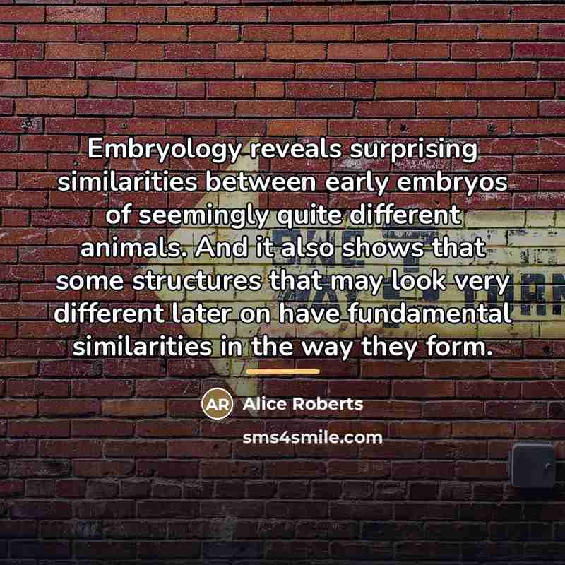 “Embryology reveals surprising similarities between early embryos of seemingly quite…” quote by Alice Roberts