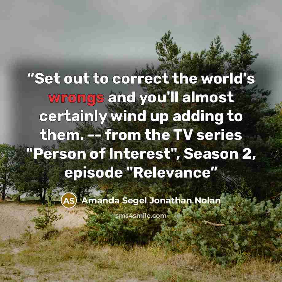 “Set out to correct the world's wrongs and you'll almost certainly wind up adding to them. -- from the TV series "Person of Interest", Season 2, episode "Relevance” quote by Amanda Segel Jonathan Nolan
