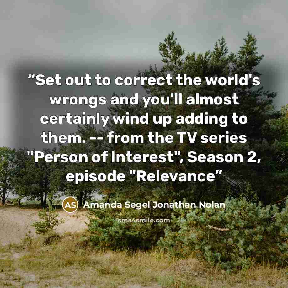 “Set out to correct the world's wrongs and you'll almost certainly wind up adding to them. -- from the TV series "Person of Interest", Season 2, episode "Relevance” quote by Amanda Segel Jonathan Nolan