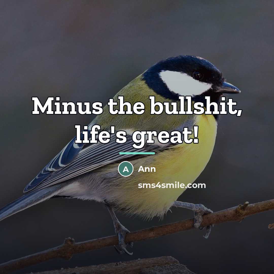 “Minus the bullshit, life's great!…” quote by Ann