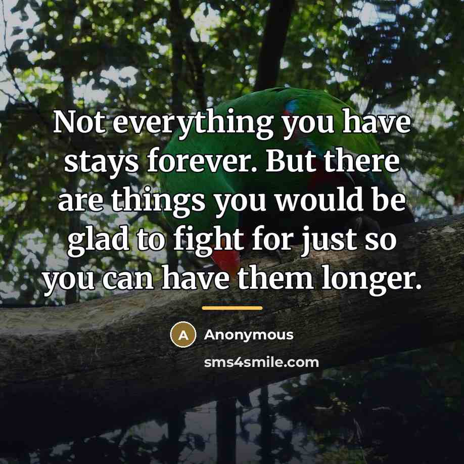 “Not everything you have stays forever. But there are things…” quote by Anonymous