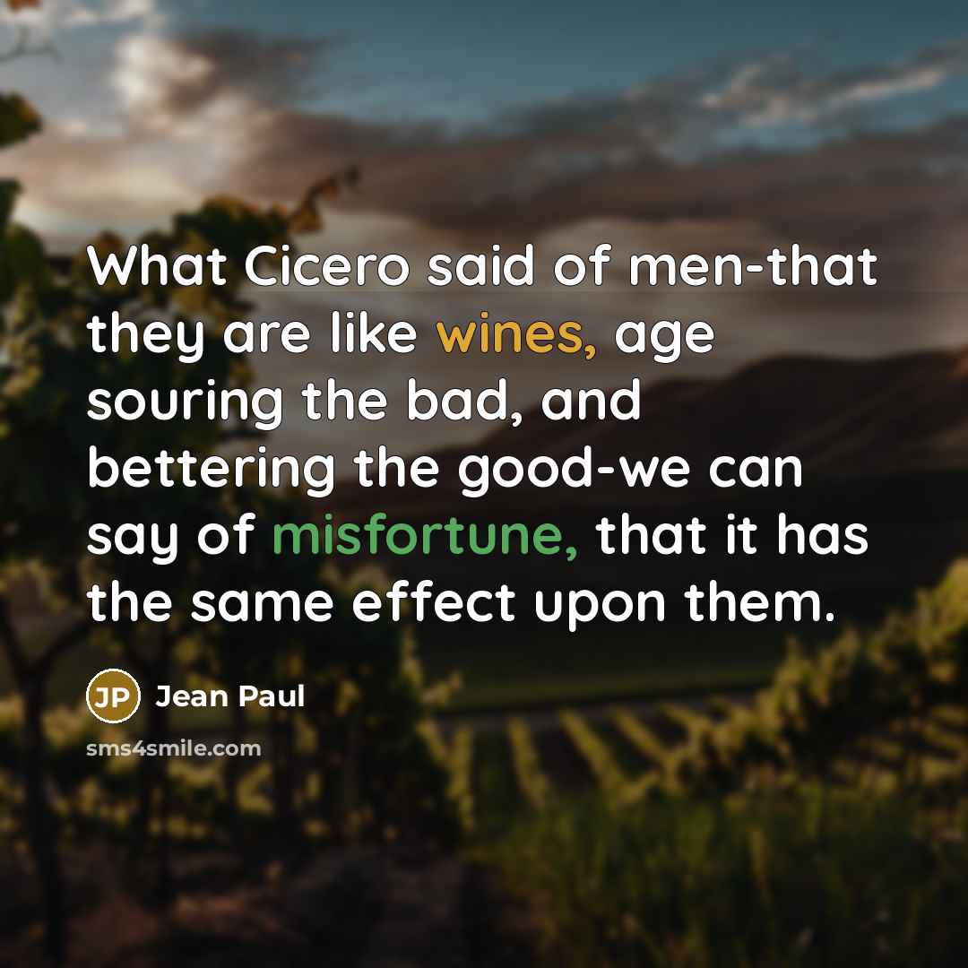 “What Cicero said of men-that they are like wines, age…” quote by Jean Paul