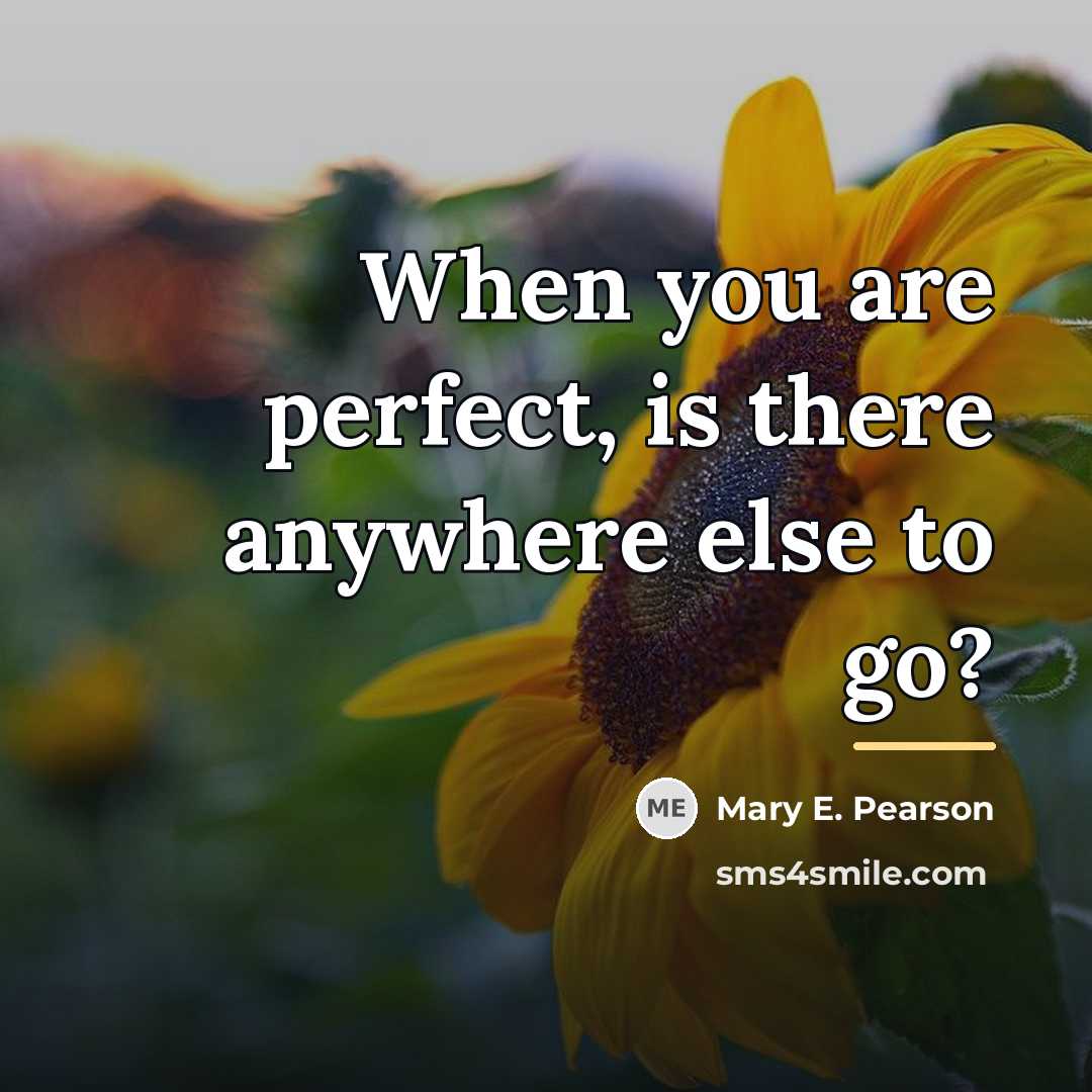 “When you are perfect, is there anywhere else to go?…” quote by Mary E. Pearson