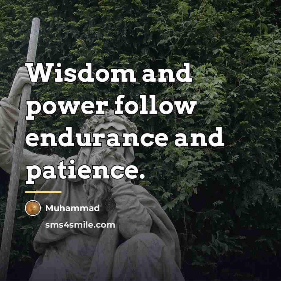 “Wisdom and power follow endurance and patience.…” quote by Muhammad