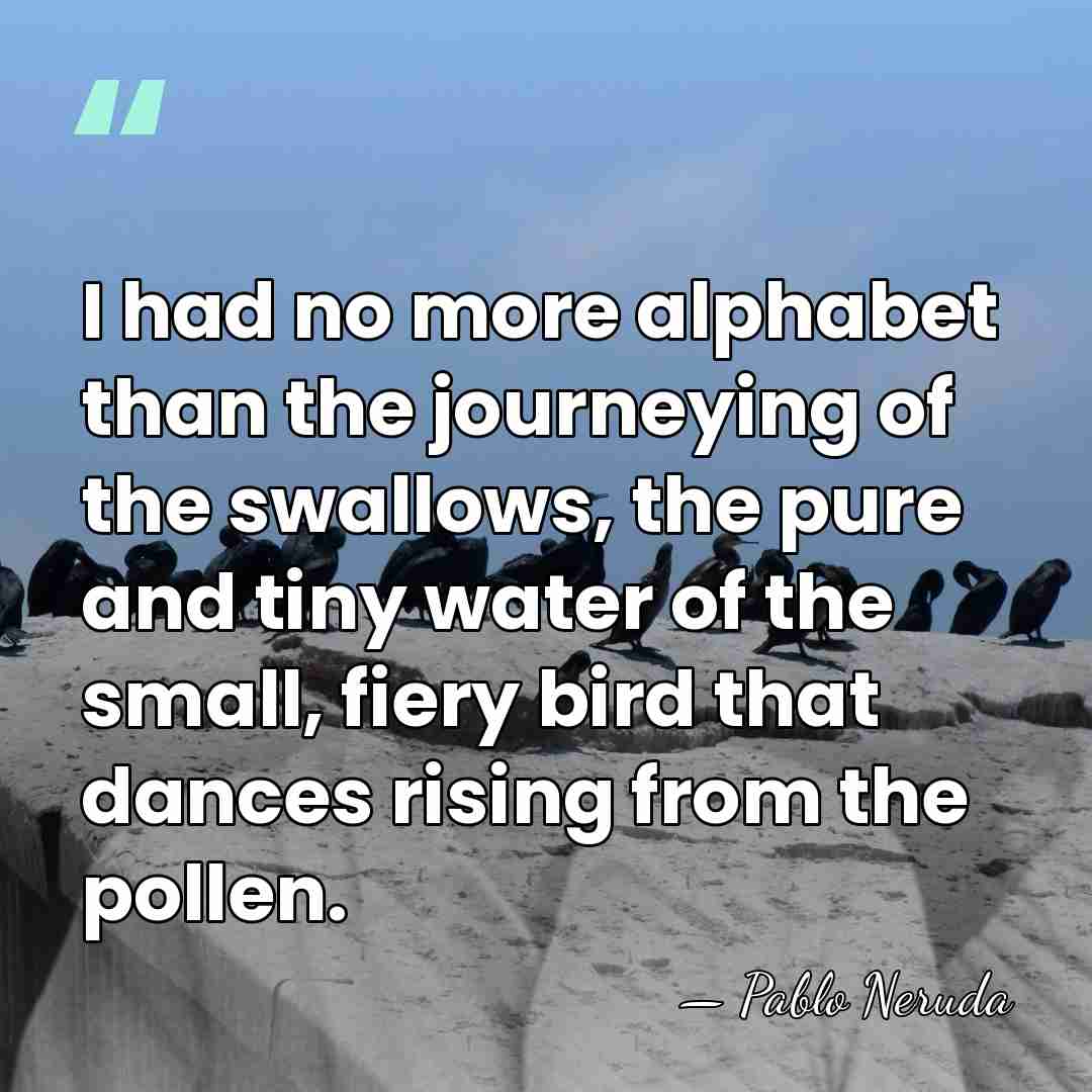 I had no more alphabet than the journeying of the swallows, the&hellip; - Pablo Neruda