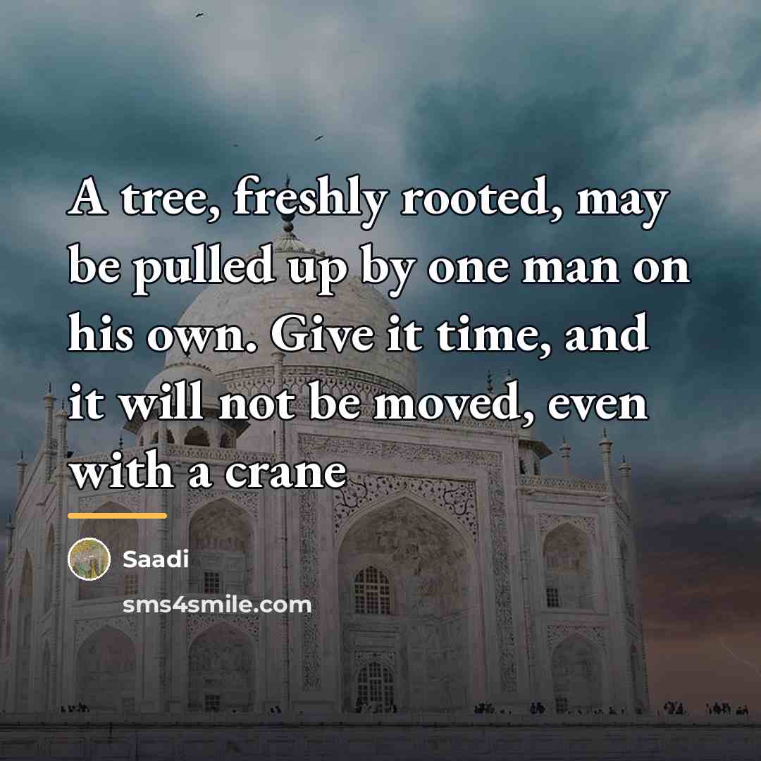 “A tree, freshly rooted, may be pulled up by one…” quote by Saadi