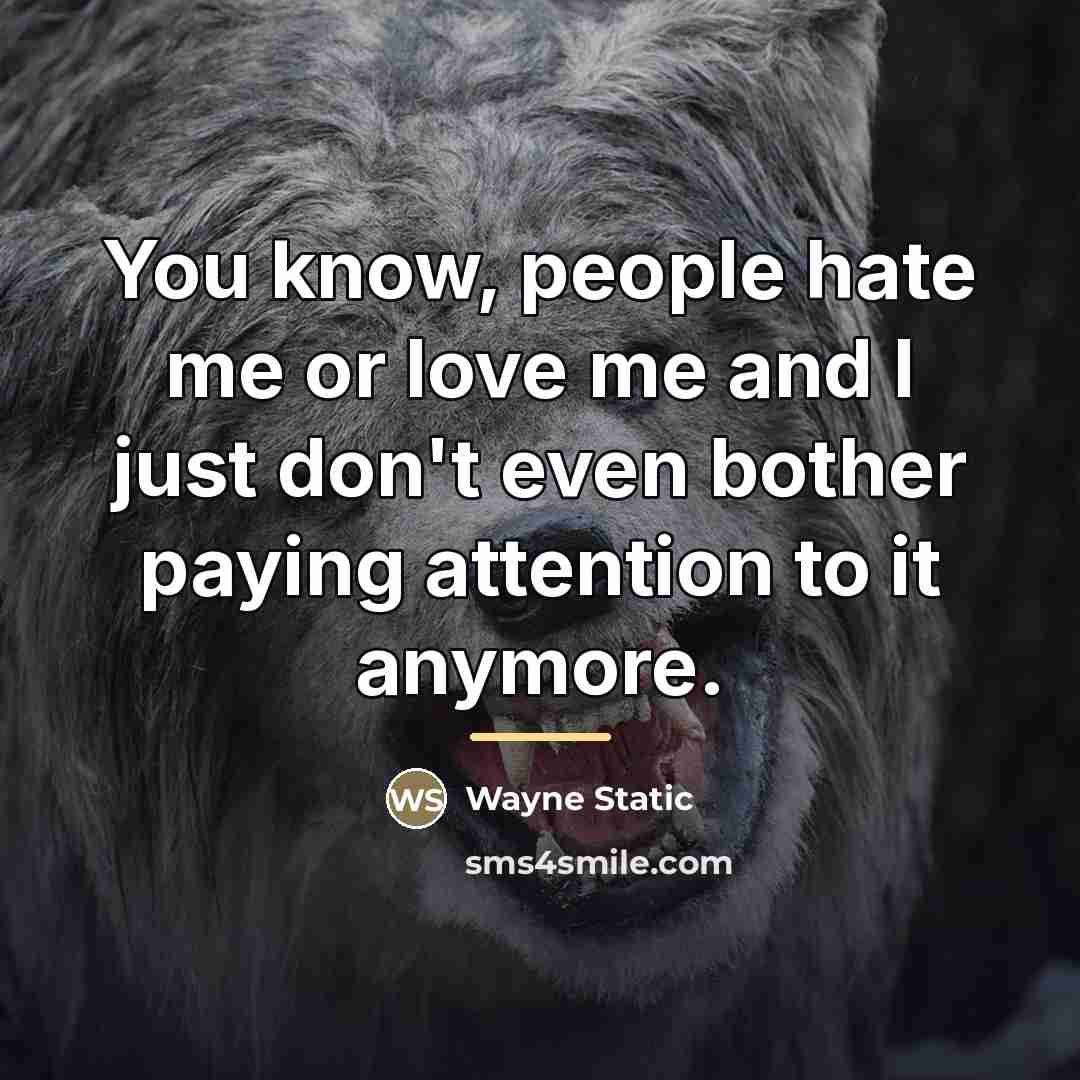 “You know, people hate me or love me and I…” quote by Wayne Static