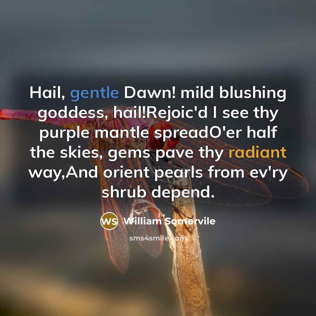 “Hail, gentle Dawn! mild blushing goddess, hail!Rejoic'd I see thy…” quote by William Somervile