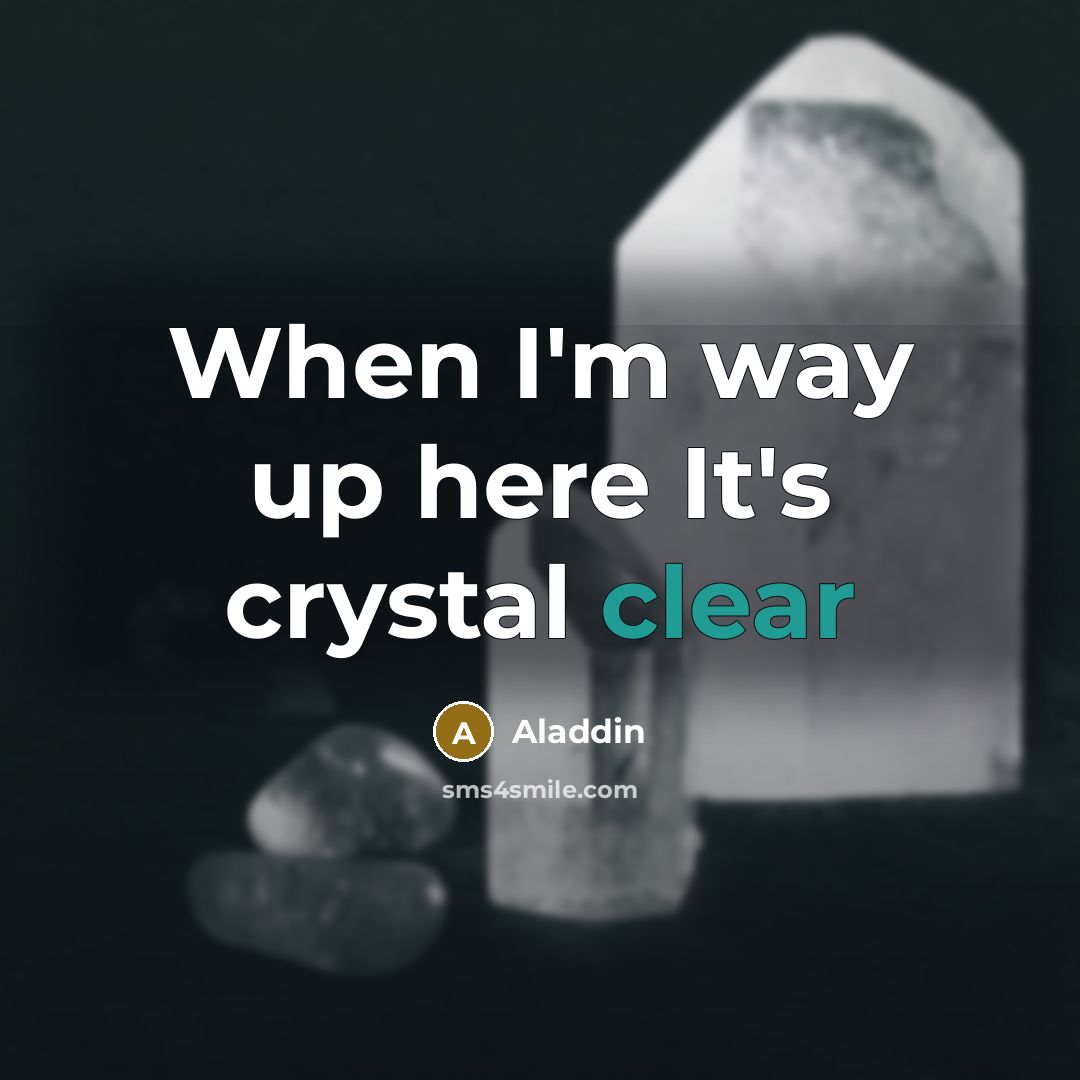 “When I'm way up here It's crystal clear” quote by Aladdin
