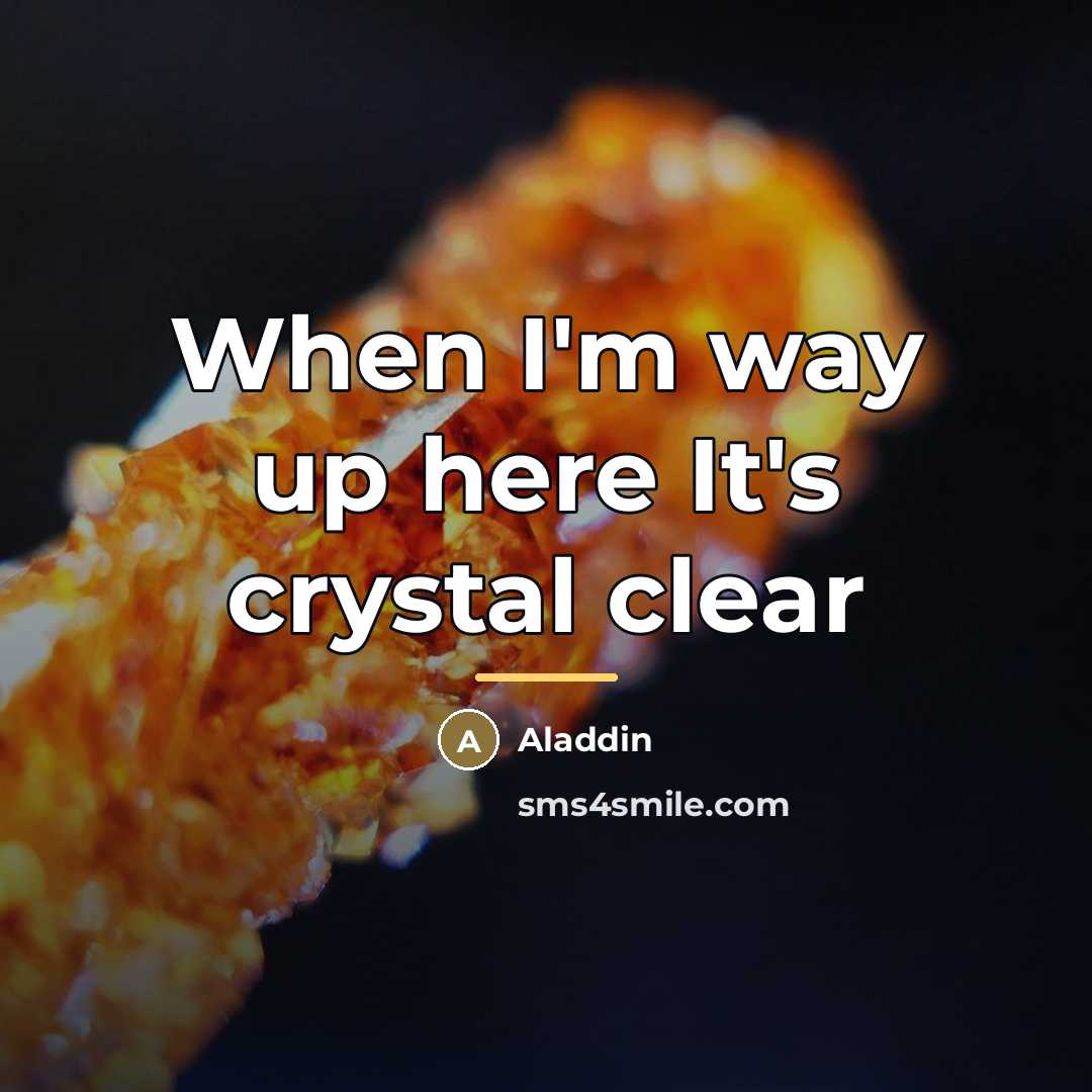 “When I'm way up here It's crystal clear…” quote by Aladdin