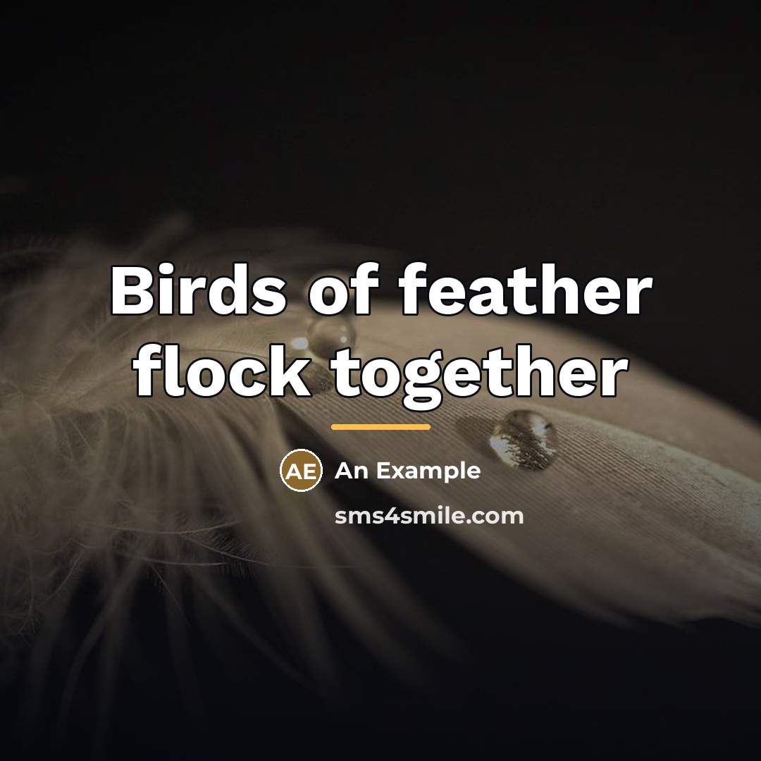 “Birds of feather flock together…” quote by An Example