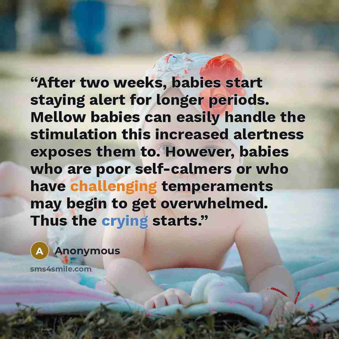“After two weeks, babies start staying alert for longer periods. Mellow babies can easily handle the stimulation this increased alertness exposes them to. However, babies who are poor self-calmers or who have challenging temperaments may begin to get overwhelmed. Thus the crying starts.” quote by Anonymous