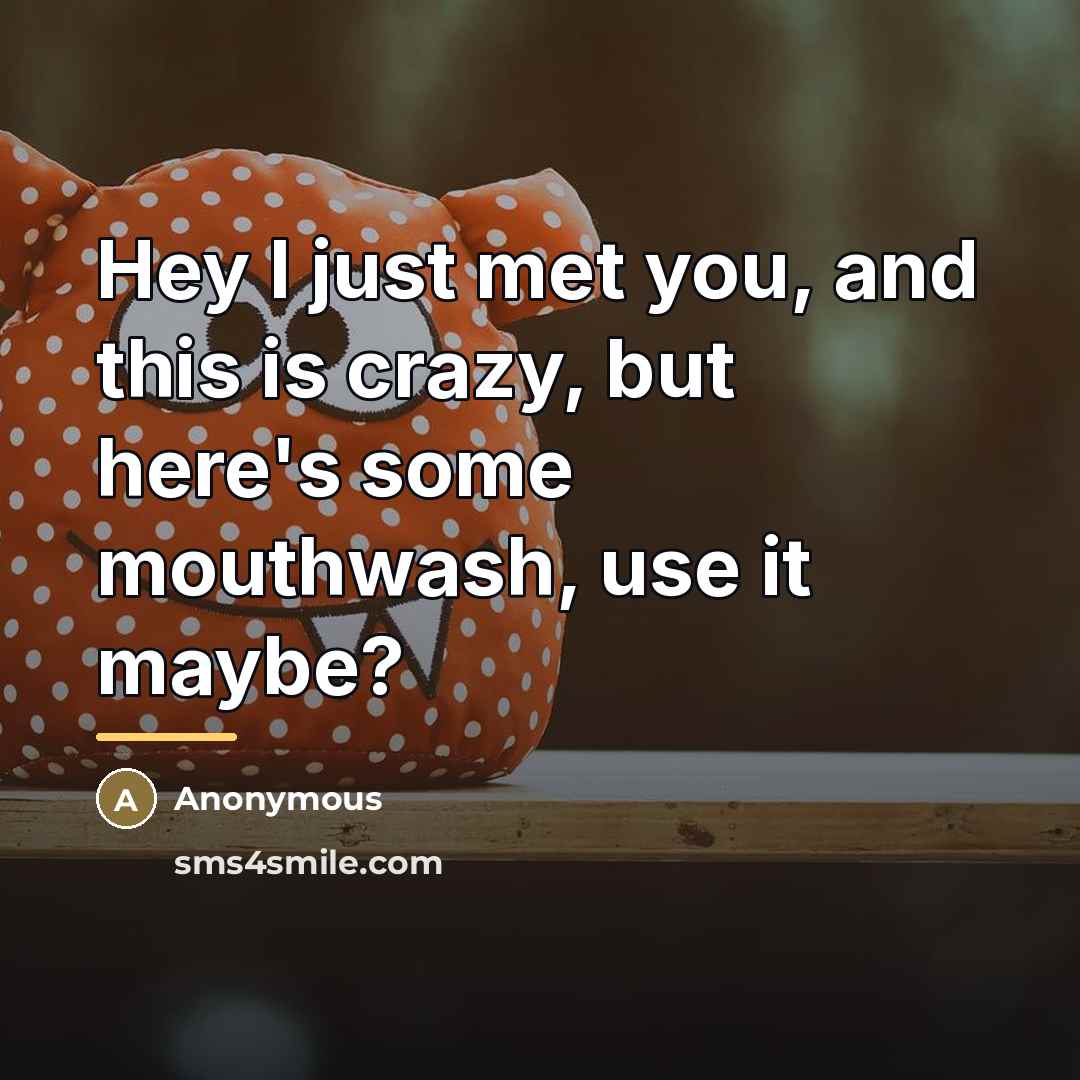 “Hey I just met you, and this is crazy, but…” quote by Anonymous