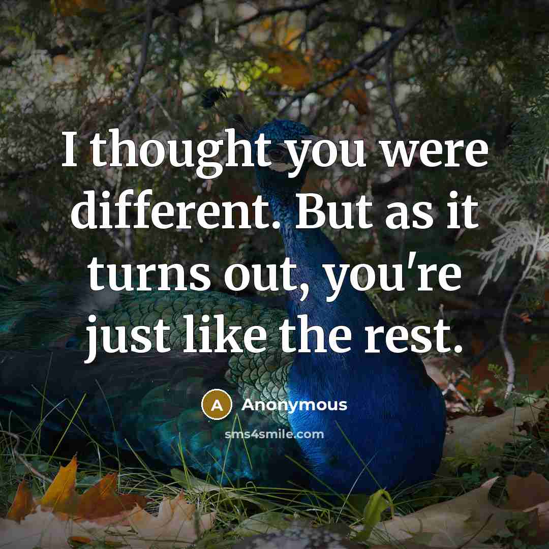 “I thought you were different. But as it turns out, you're just like the rest.” quote by Anonymous