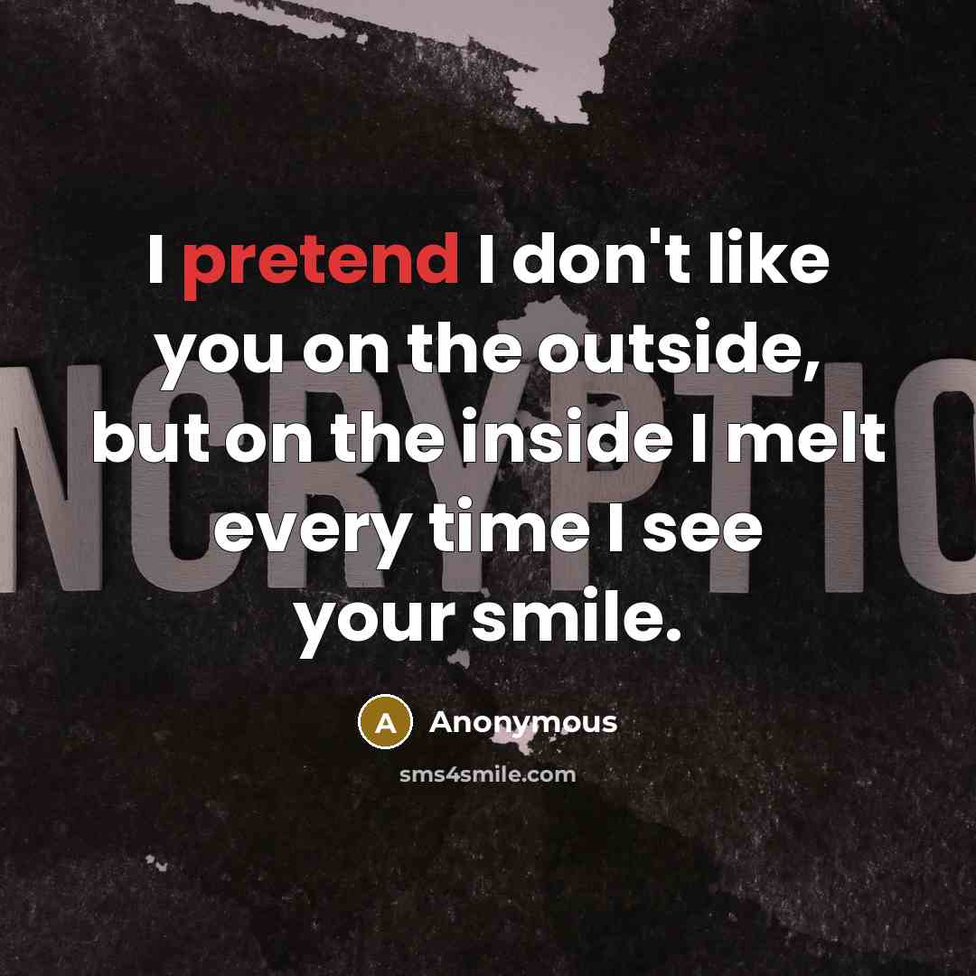 “I pretend I don't like you on the outside, but…” quote by Anonymous